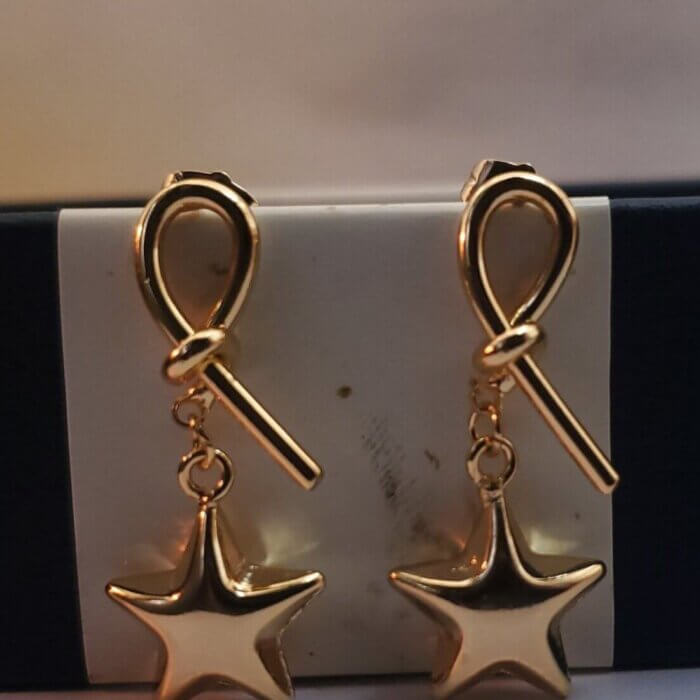 Aretes moñito de estrella